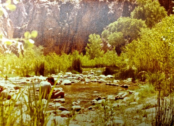 Grand Canyon & Beia Carvalho